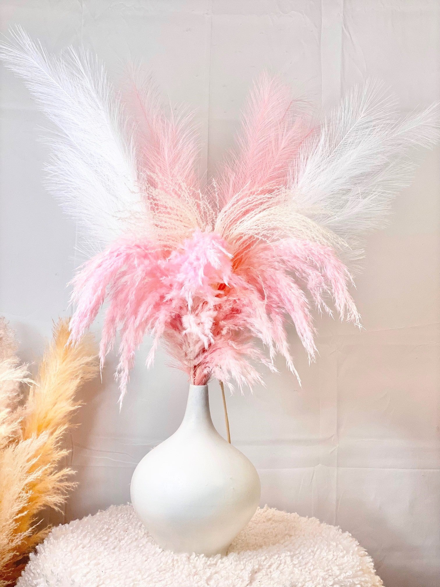Small Preserved Pampas Grass Mini Fluffy Stems