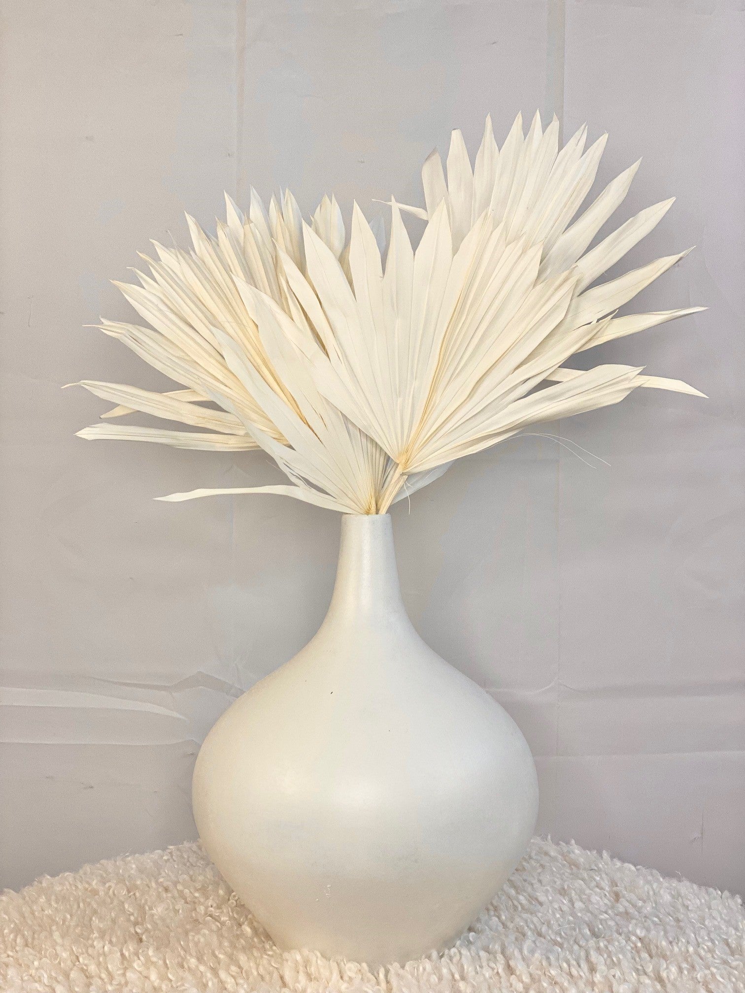 Mini Bleached White Palms Leaf Preserved Palm Décor