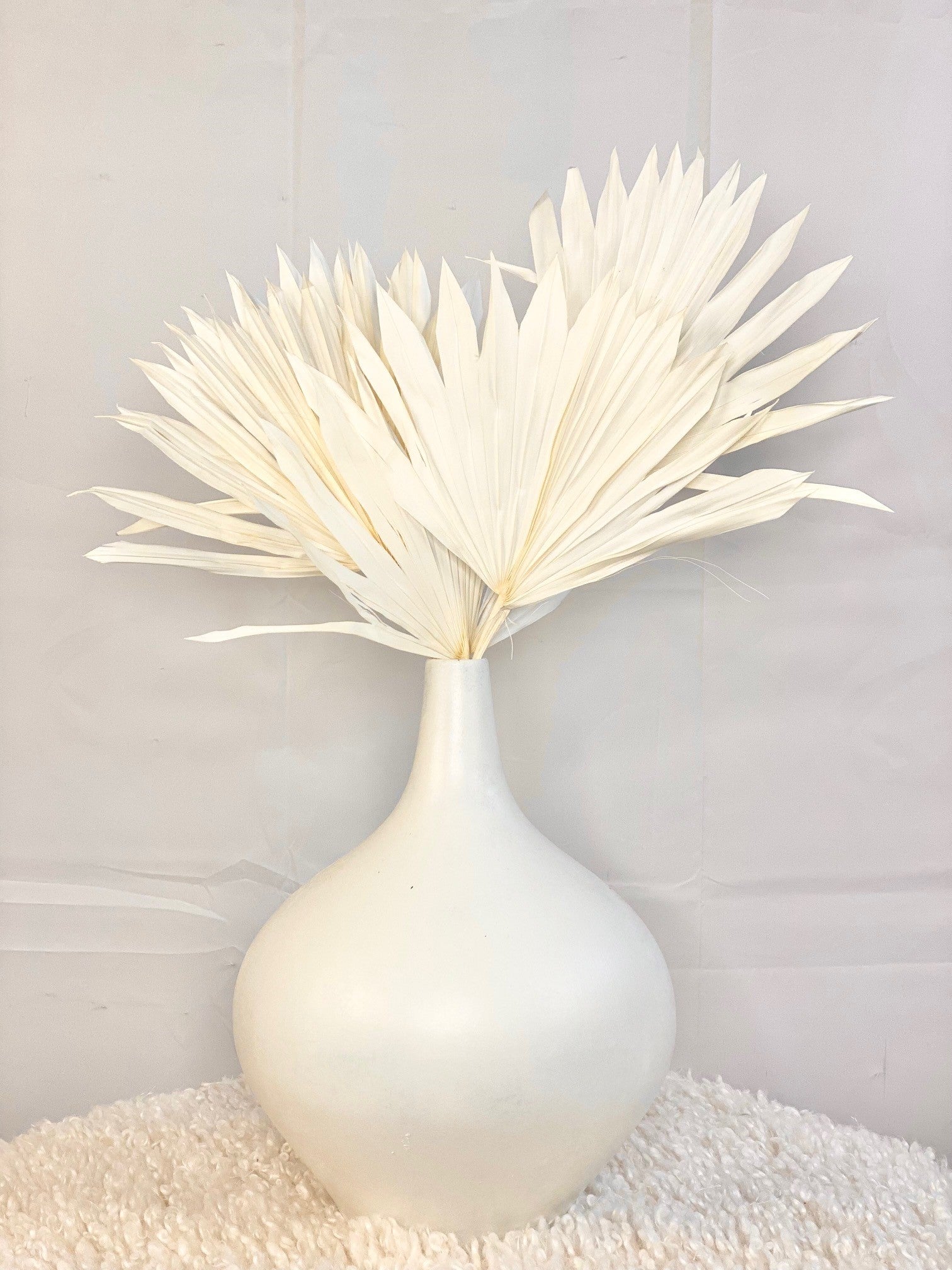 Mini Bleached White Palms Leaf Preserved Palm Décor